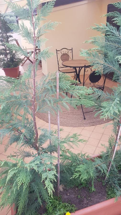 روشيلا لونيكا B&B E Casa Vacanza Al Castello المظهر الخارجي الصورة